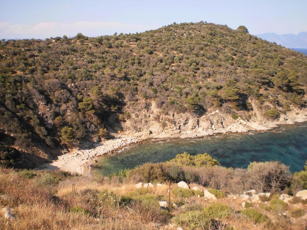 Vergina Pension Sarti Dış mekan fotoğraf