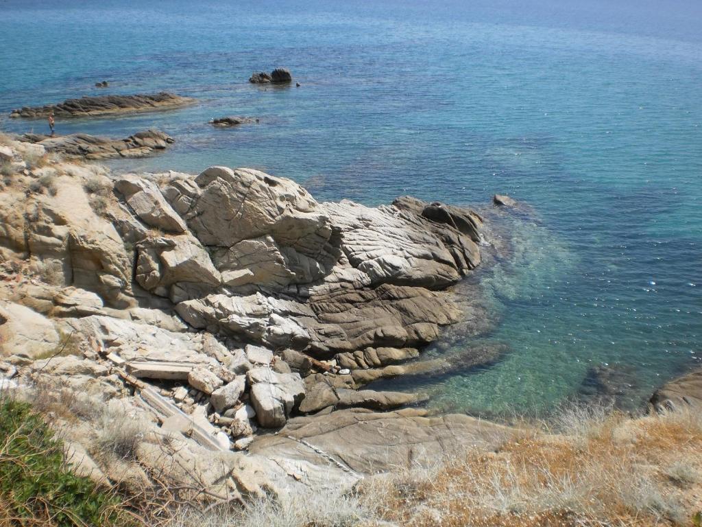 Vergina Pension Sarti Dış mekan fotoğraf