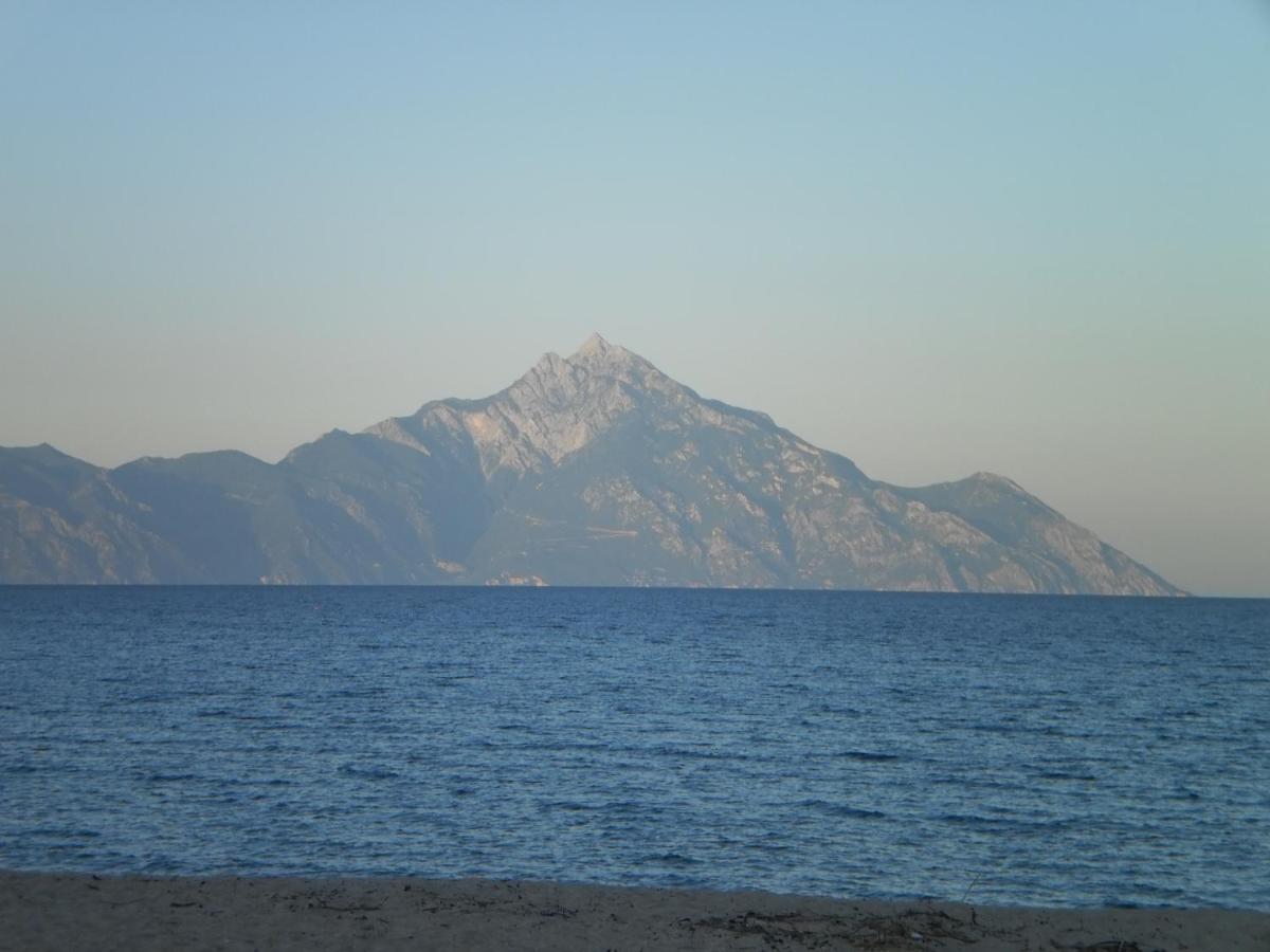 Vergina Pension Sarti Dış mekan fotoğraf
